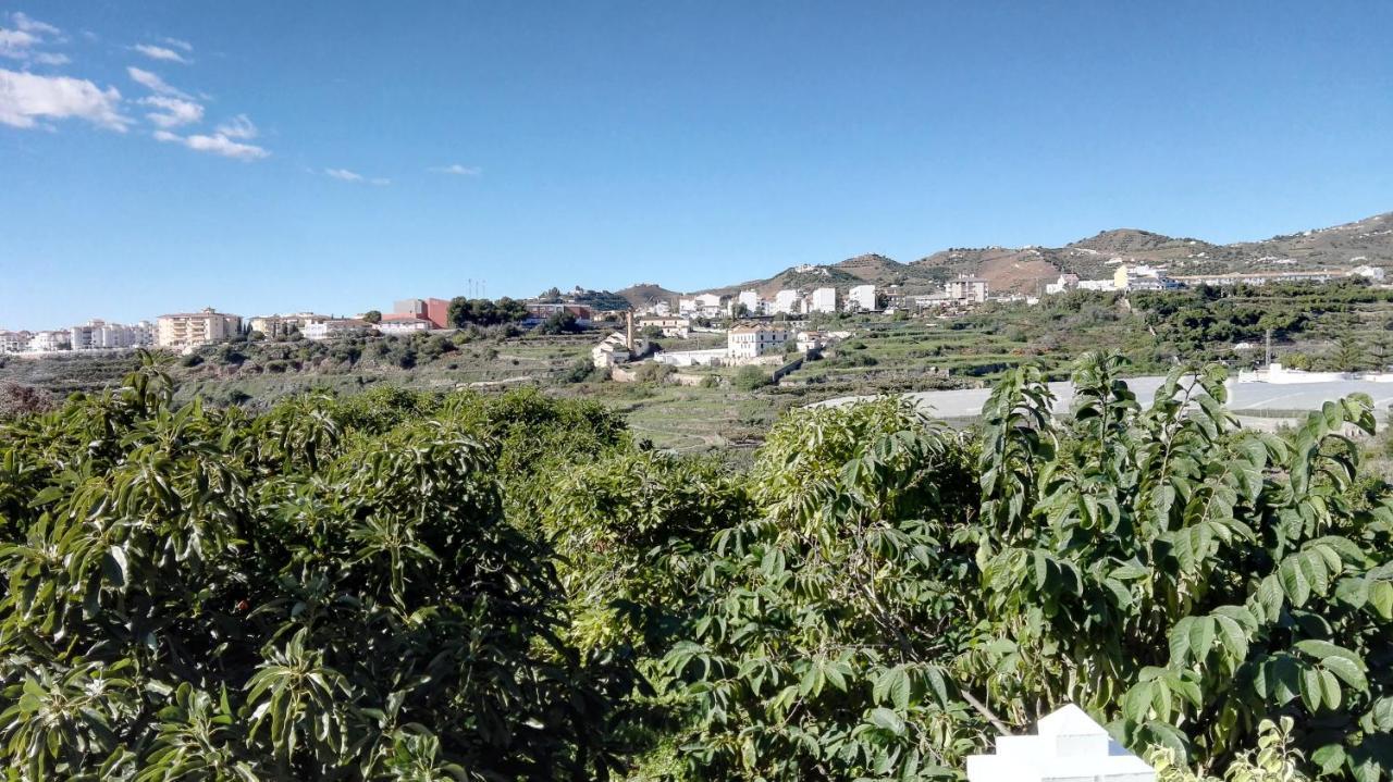 말라가 Casa Paloma Blanca 빌라 외부 사진